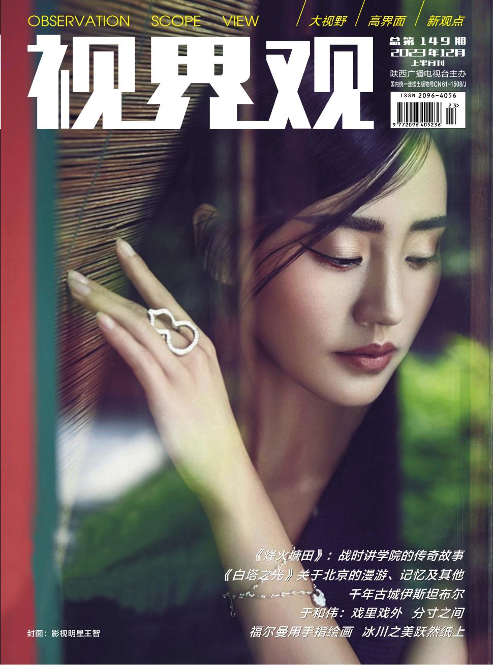 视界观