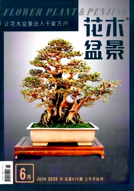 花木盆景