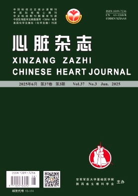 心脏