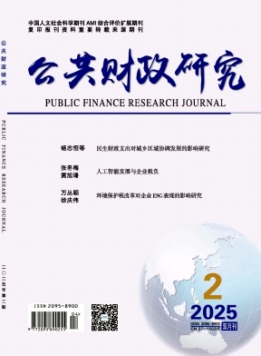 公共财政研究