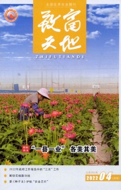 致富天地