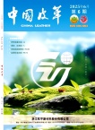 中国皮革